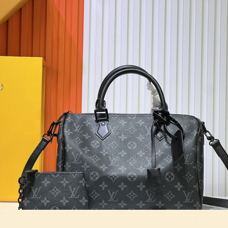LV Travel Bags